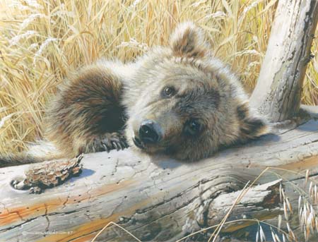 (image for) Handmade oil painting Copy paintings of famous artists Carl Brenders Paintings Time Out-Grizzly Cub